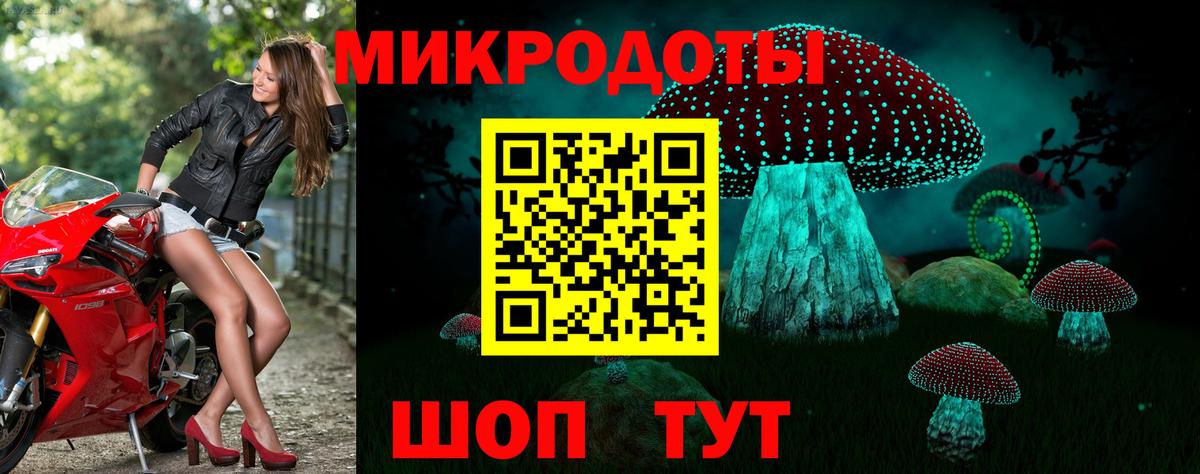 Отрадный  купить наркотики сайты  Вход с VPN  Псилоцибиновые грибы GOLDEN TEACHER 